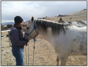Rachel and horse